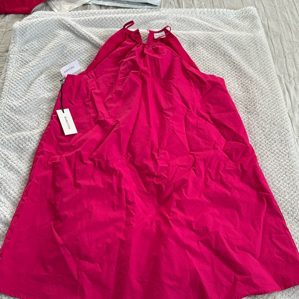 Aritzia Babaton Dress